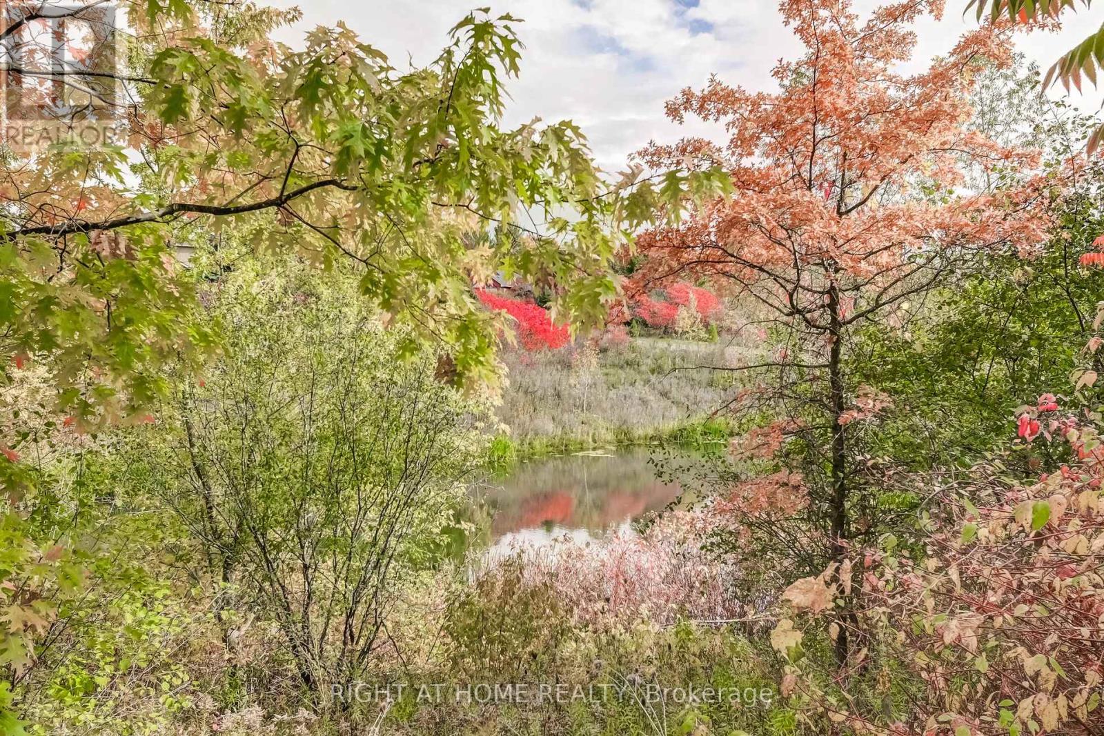 51 Crestridge Drive, Caledon, Ontario  L7E 2T9 - Photo 27 - W12479685