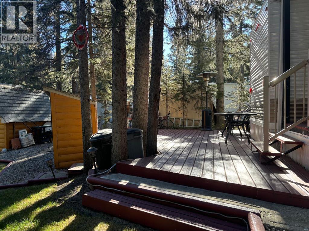 18, 200 4th Ave Sw, Sundre, Alberta  T0M 1X0 - Photo 17 - A2262727