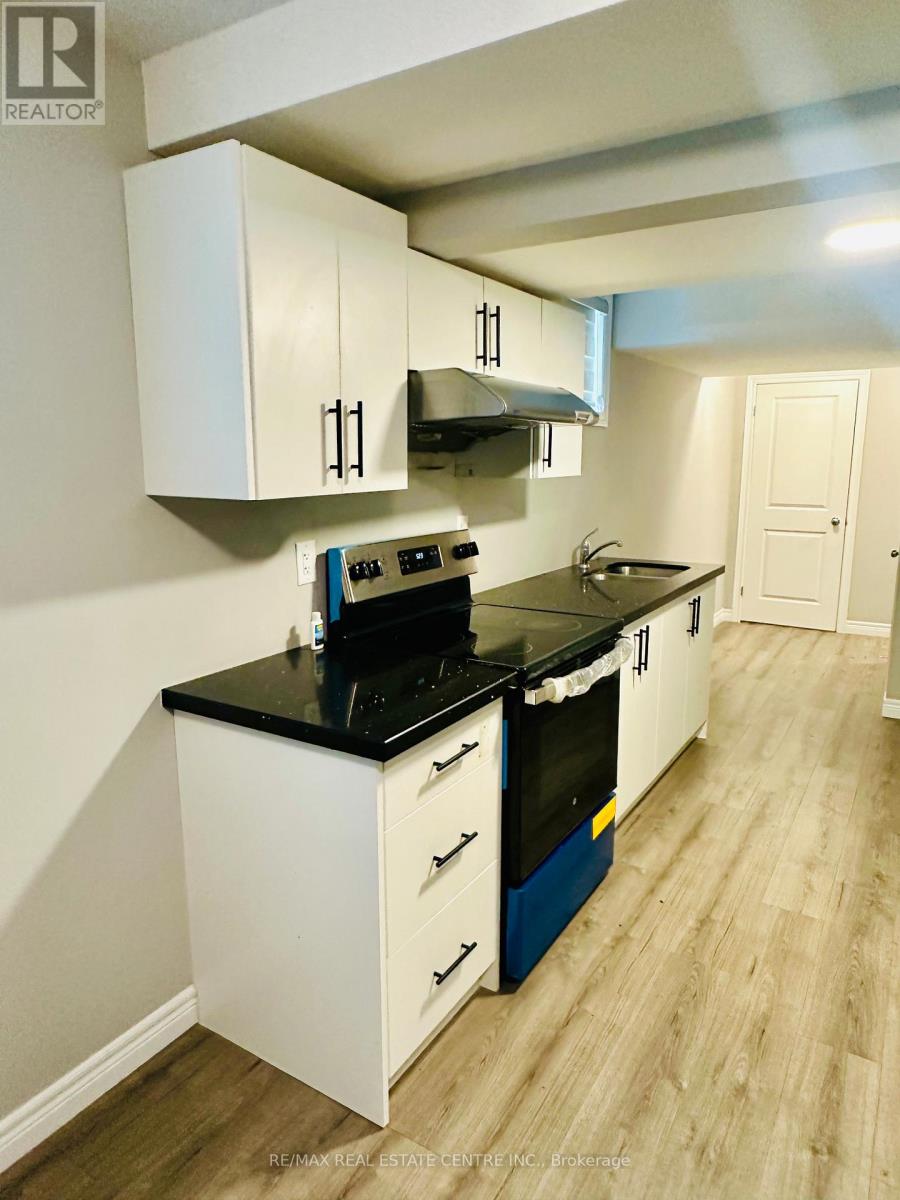 Basement - 80 Georgina Street, Kitchener, Ontario  N2R 0S6 - Photo 10 - X12466292