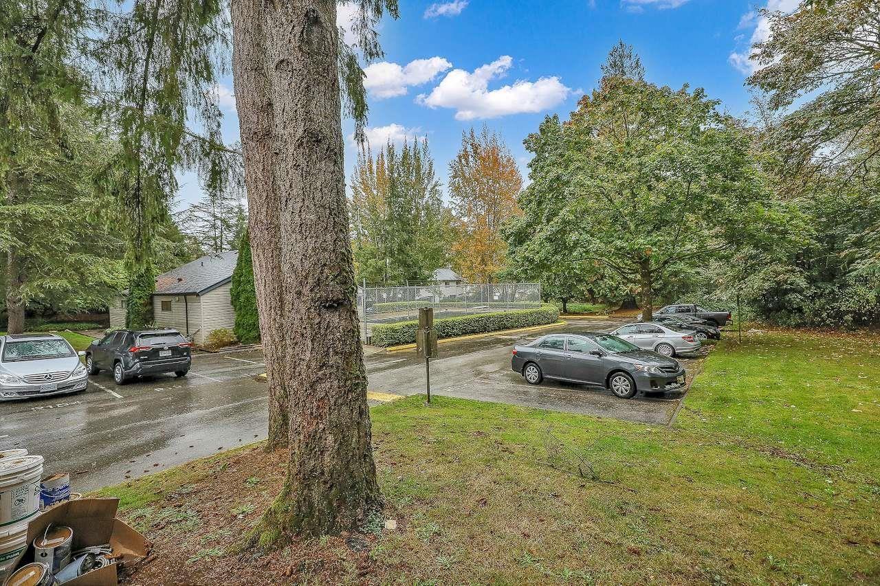 168 13742 67 Avenue, Surrey, British Columbia  V3W 6X6 - Photo 18 - R3061219