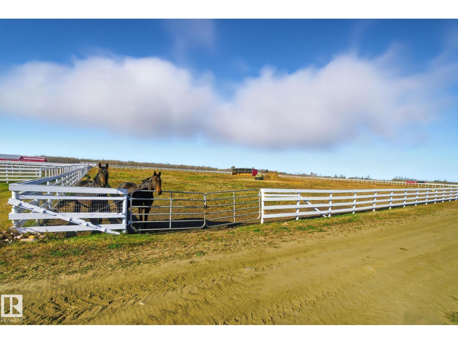 58117 Rr 211, Rural Thorhild County, Alberta  T0A 2W0 - Photo 19 - E4463311