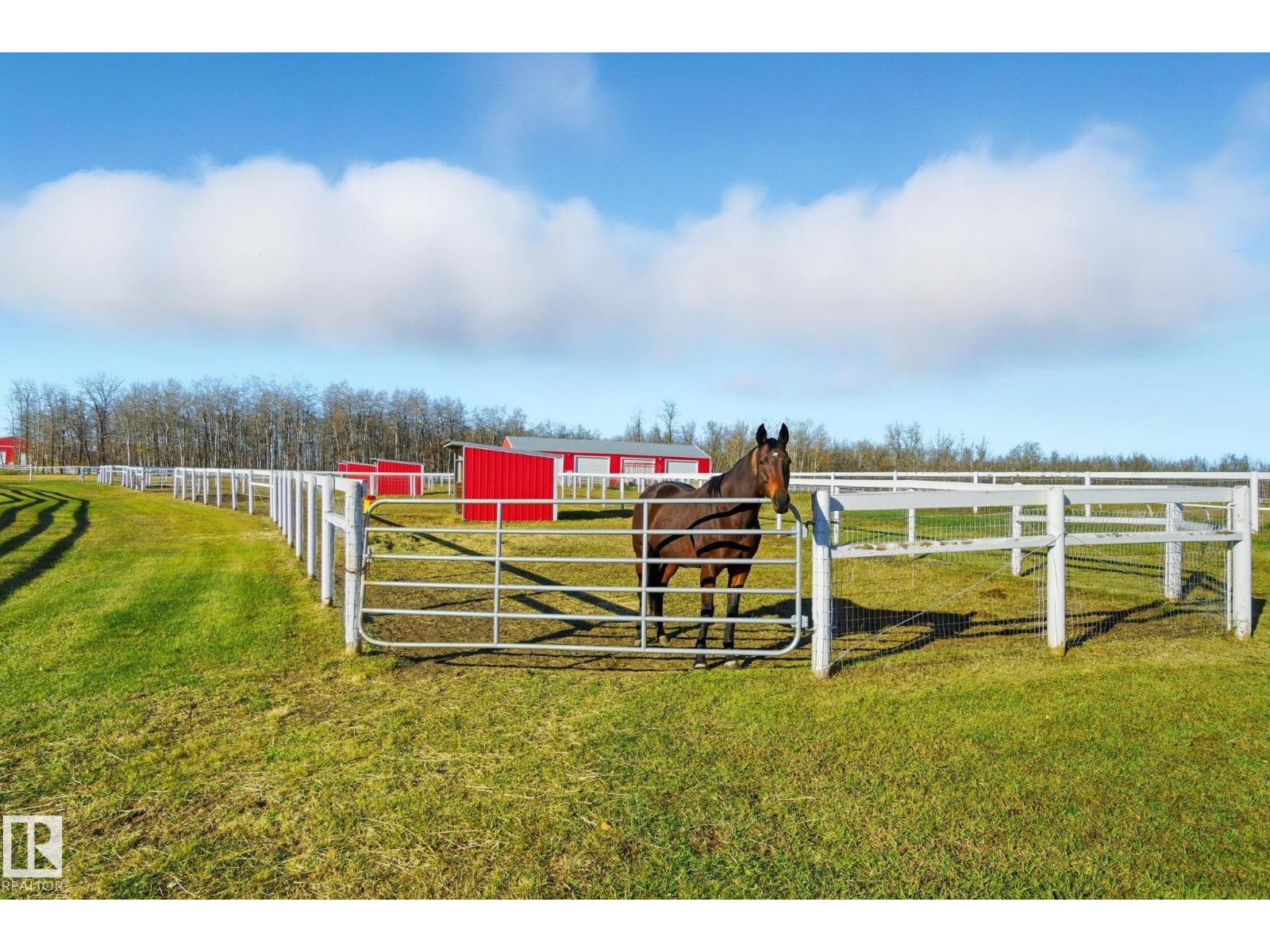 58117 Rr 211, Rural Thorhild County, Alberta  T0A 2W0 - Photo 2 - E4463311