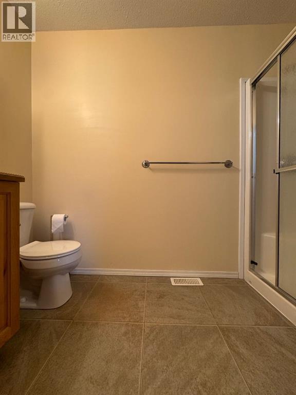 4953 49 Street, Sedgewick, Alberta  T0B 4C0 - Photo 30 - A2266258