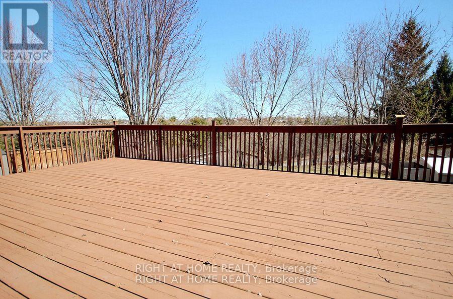 207 Kensit Avenue, Newmarket, Ontario  L3X 1S6 - Photo 32 - N12479865
