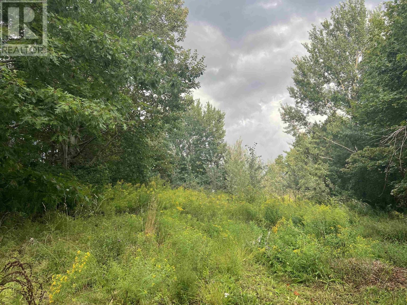 Vimy Road, Bible Hill, Nova Scotia  B2N 4J9 - Photo 13 - 202521663
