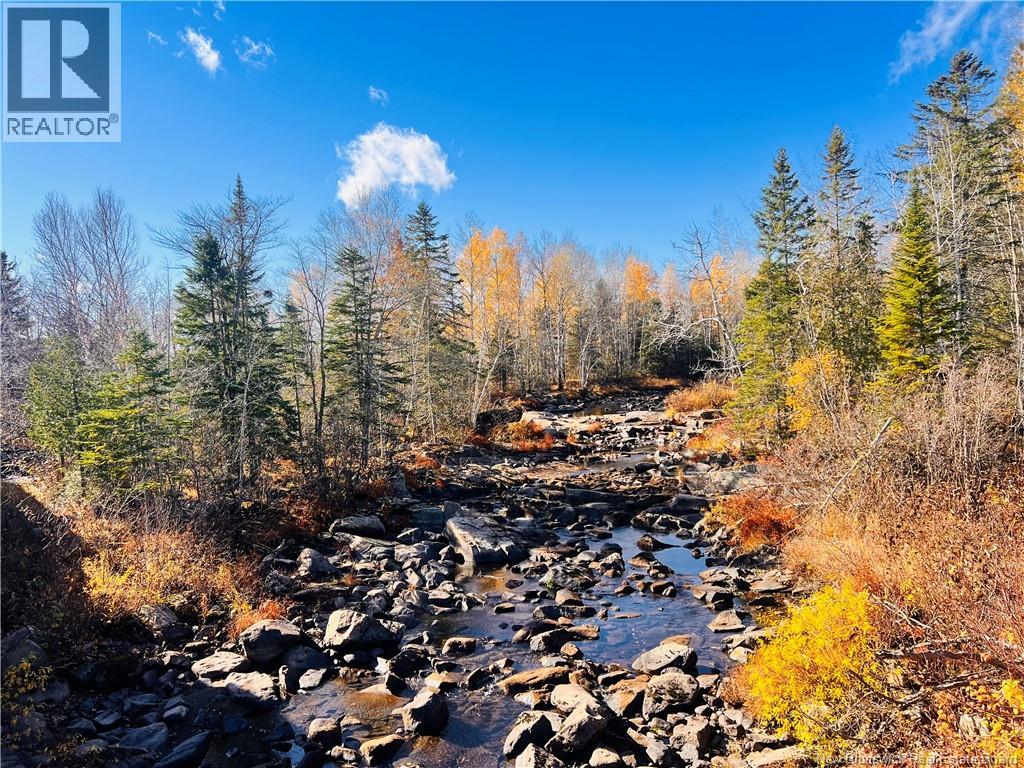 243 Acres Little River Road, Bathurst, New Brunswick  E2A 6L7 - Photo 4 - NB128961