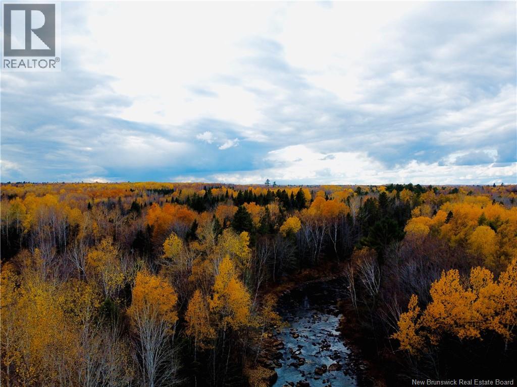 243 Acres Little River Road, Bathurst, New Brunswick  E2A 6L7 - Photo 10 - NB128961