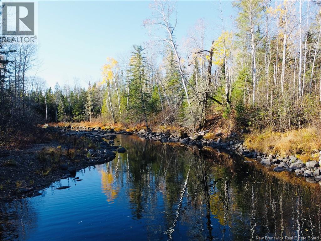 243 Acres Little River Road, Bathurst, New Brunswick  E2A 6L7 - Photo 12 - NB128961