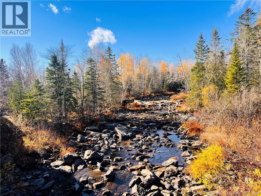 243 Acres Little River Road, Bathurst, New Brunswick  E2A 6L7 - Photo 7 - NB128961