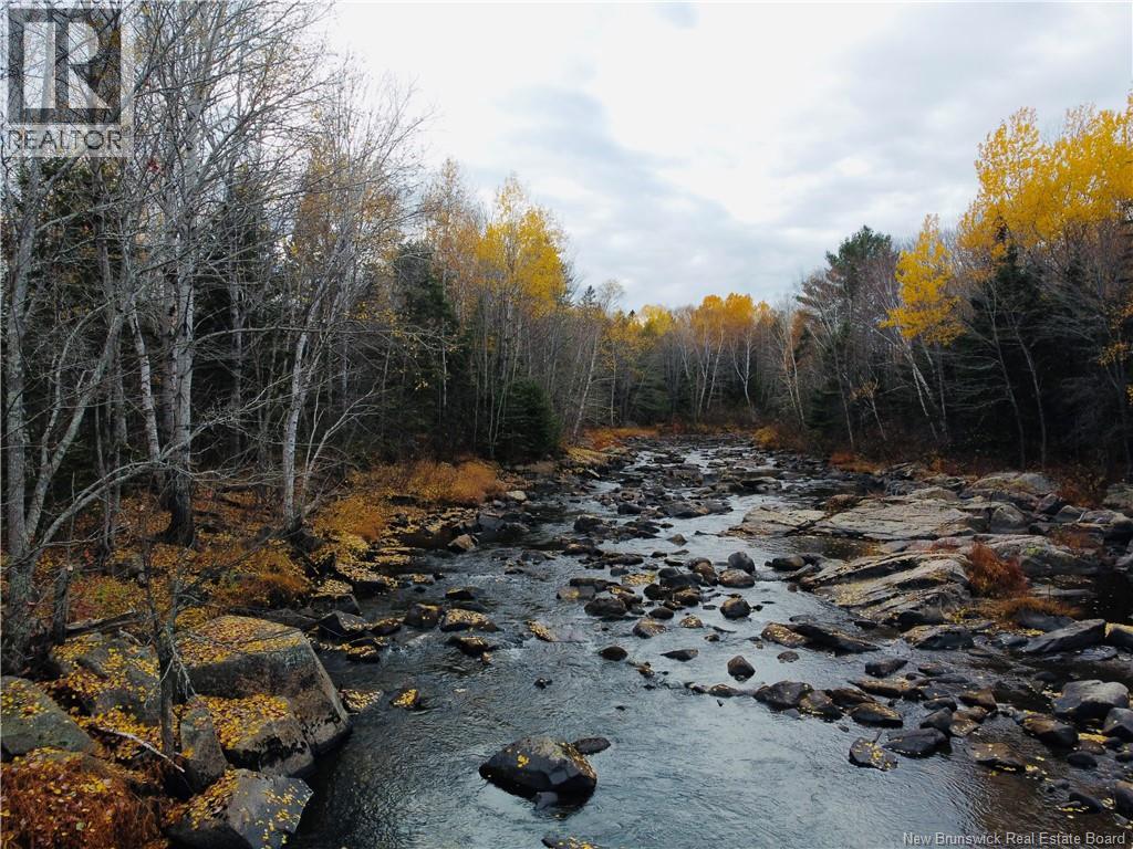 243 Acres Little River Road, Bathurst, New Brunswick  E2A 6L7 - Photo 11 - NB128961