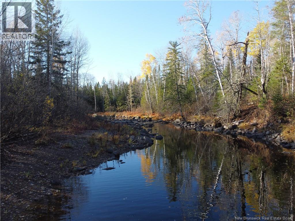 243 Acres Little River Road, Bathurst, New Brunswick  E2A 6L7 - Photo 16 - NB128961