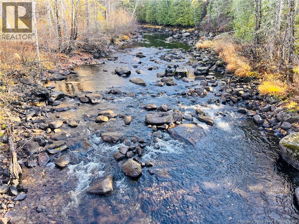 243 Acres Little River Road, Bathurst, New Brunswick  E2A 6L7 - Photo 6 - NB128961