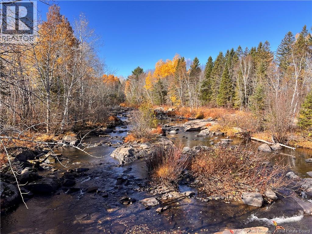 243 Acres Little River Road, Bathurst, New Brunswick  E2A 6L7 - Photo 3 - NB128961