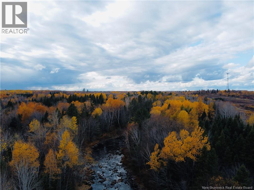 243 Acres Little River Road, Bathurst, New Brunswick  E2A 6L7 - Photo 14 - NB128961