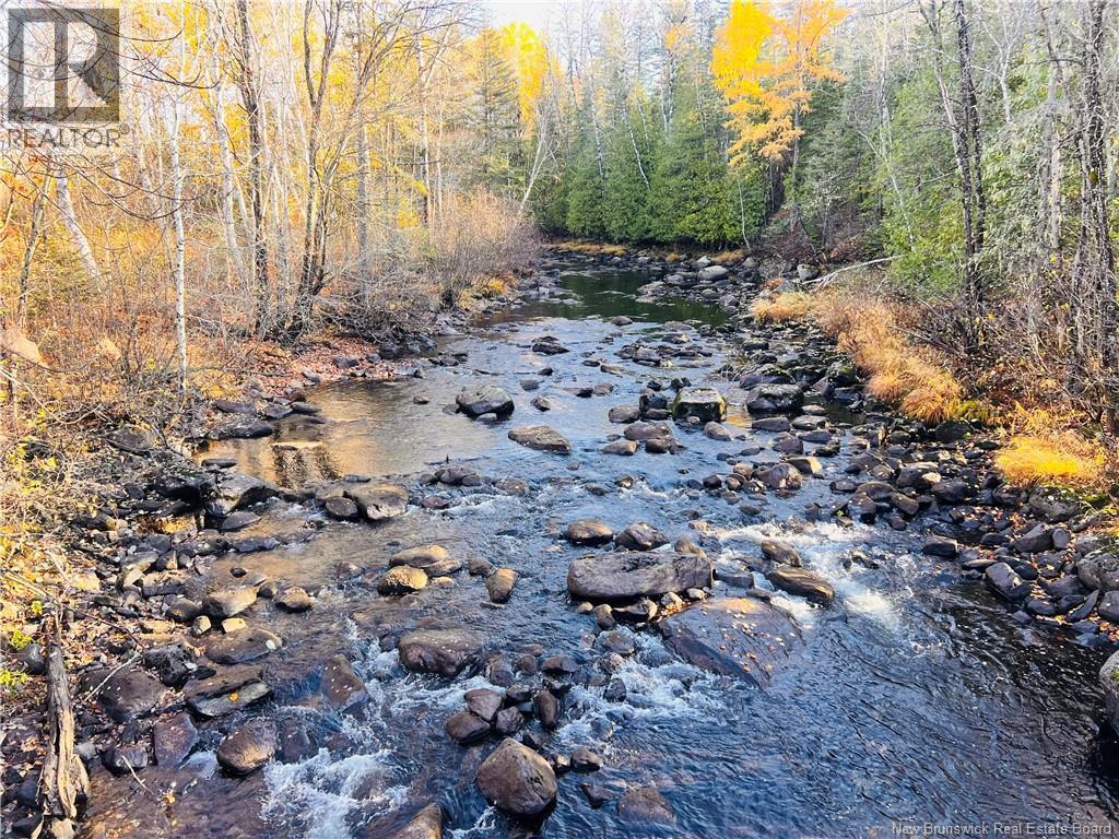 243 Acres Little River Road, Bathurst, New Brunswick  E2A 6L7 - Photo 5 - NB128961