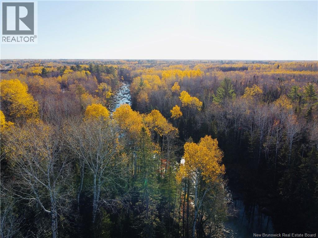 243 Acres Little River Road, Bathurst, New Brunswick  E2A 6L7 - Photo 15 - NB128961