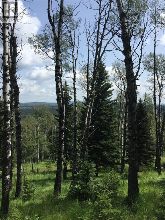 215 Wintergreen Road, Rural Rocky View County, Alberta  T0L 0K0 - Photo 7 - C4290335