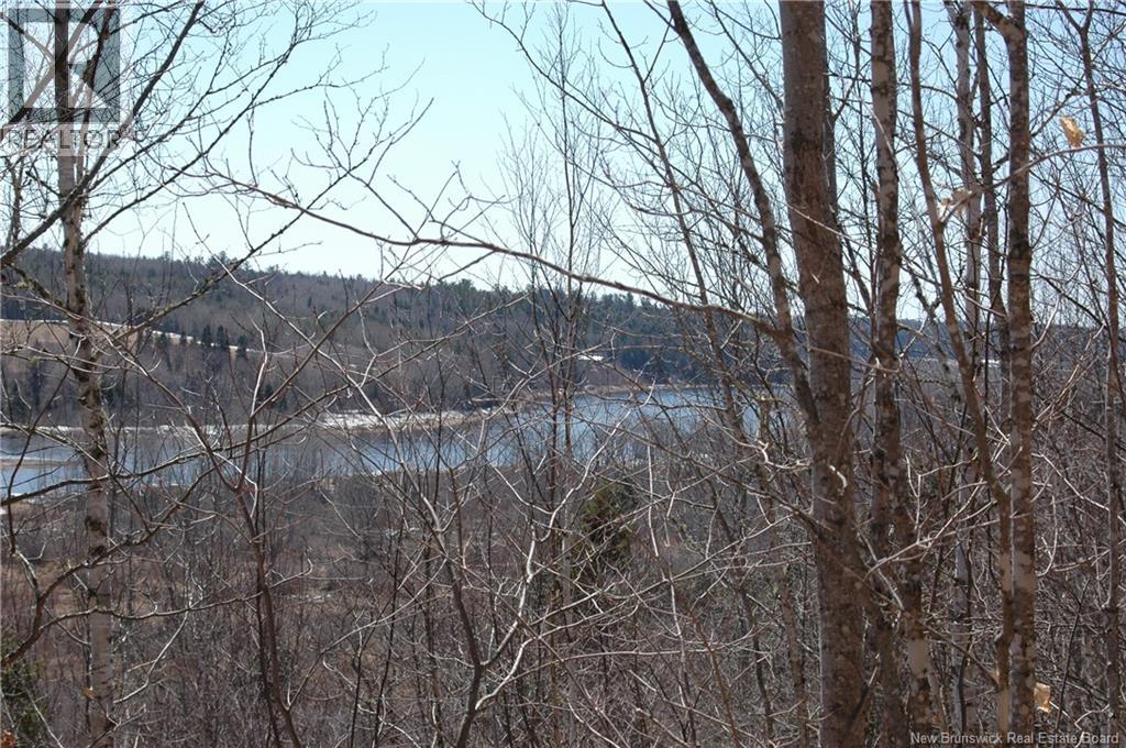 Main Street, Doaktown, New Brunswick  E9C 1B7 - Photo 12 - NB126020