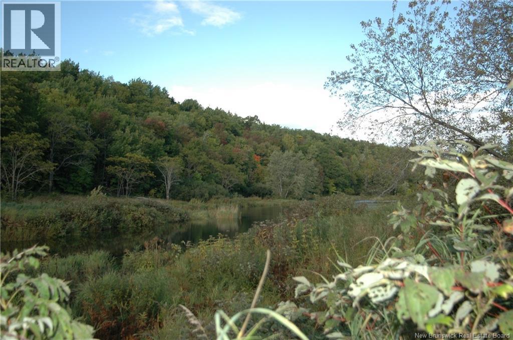 Main Street, Doaktown, New Brunswick  E9C 1B7 - Photo 9 - NB126020