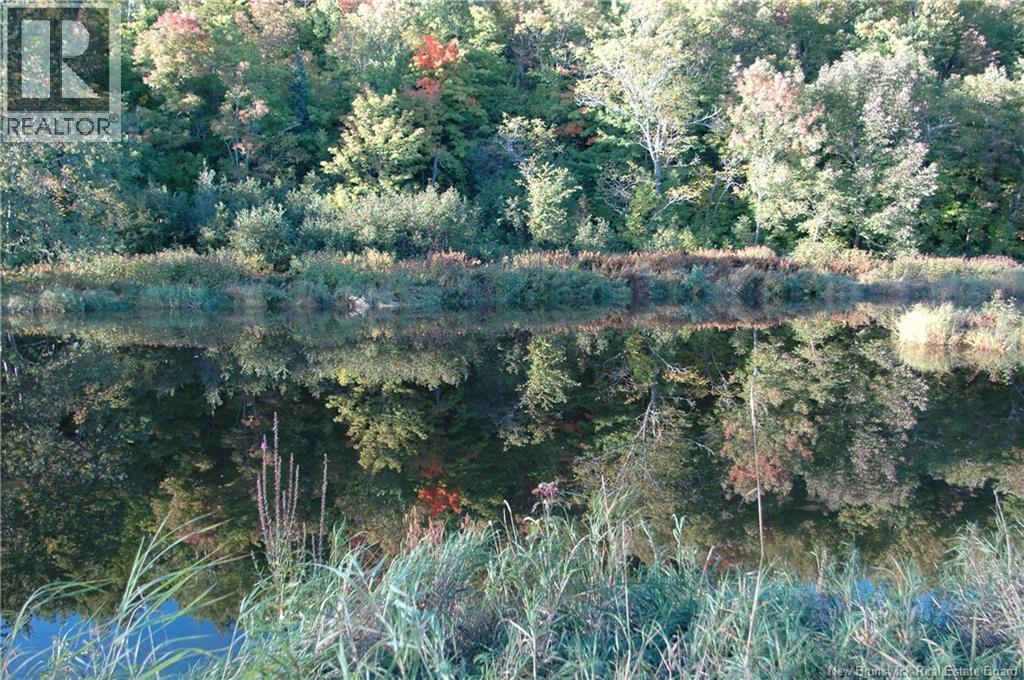 Main Street, Doaktown, New Brunswick  E9C 1B7 - Photo 10 - NB126020