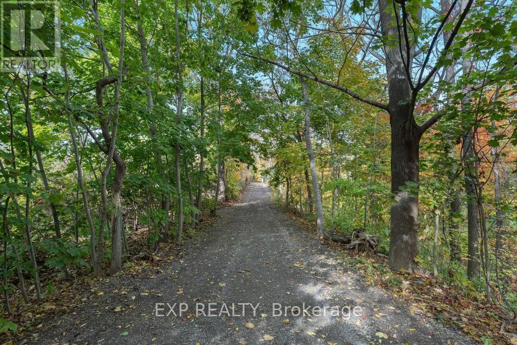 3169 King Street, Lincoln, Ontario  L0R 2C0 - Photo 11 - X12479931