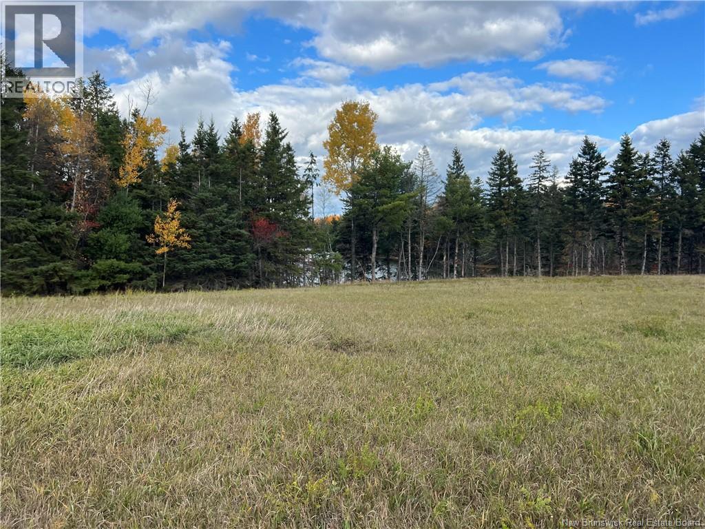 Lot 25-3 Creekview Lane, Galloway, New Brunswick  E4W 2G6 - Photo 2 - NB129004