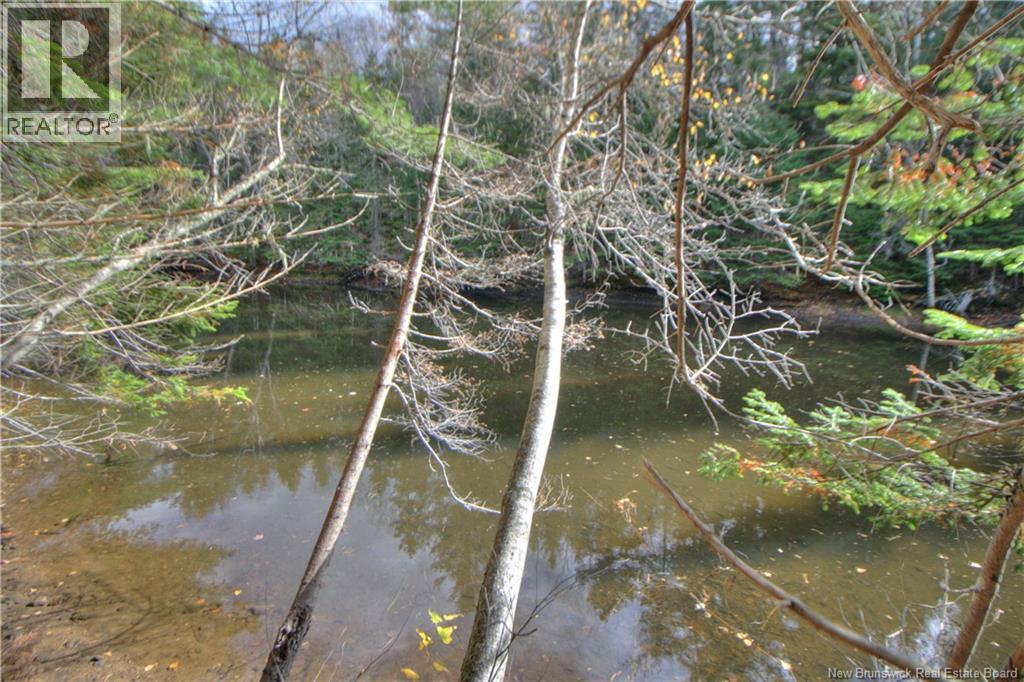 Lot 25-9 Creekview Lane, Galloway, New Brunswick  E4W 2G6 - Photo 4 - NB129014