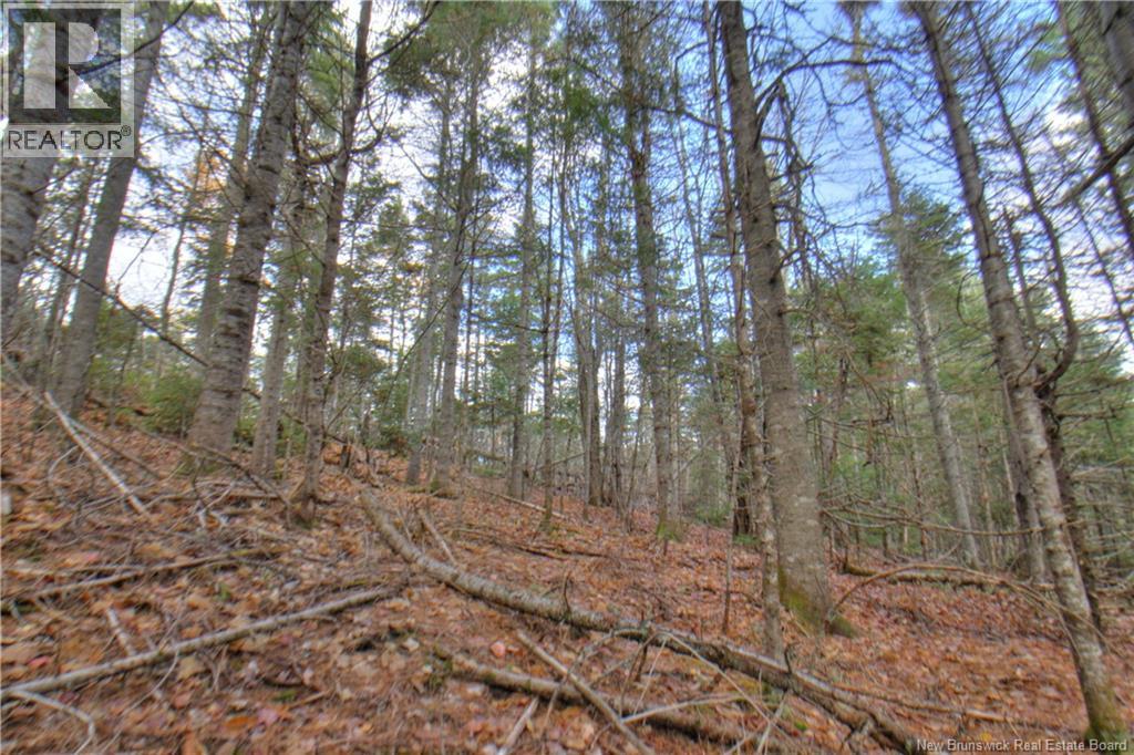 Lot 25-9 Creekview Lane, Galloway, New Brunswick  E4W 2G6 - Photo 7 - NB129014