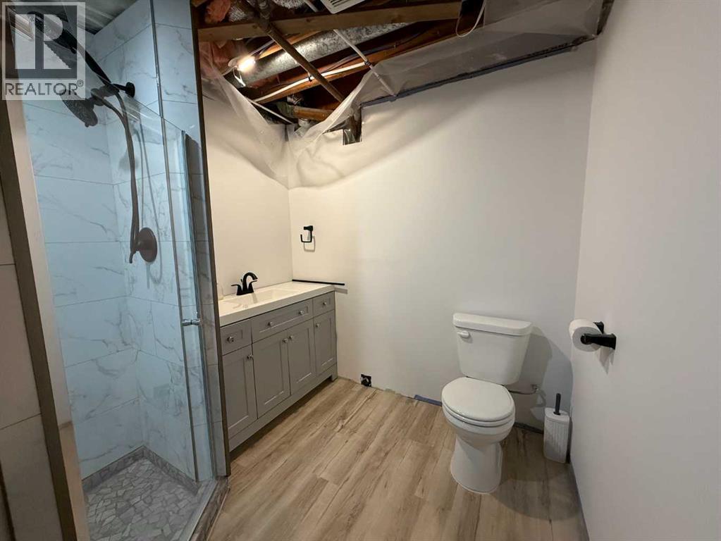 5427 49 Street, Provost, Alberta  T0B 3S0 - Photo 20 - A2246474