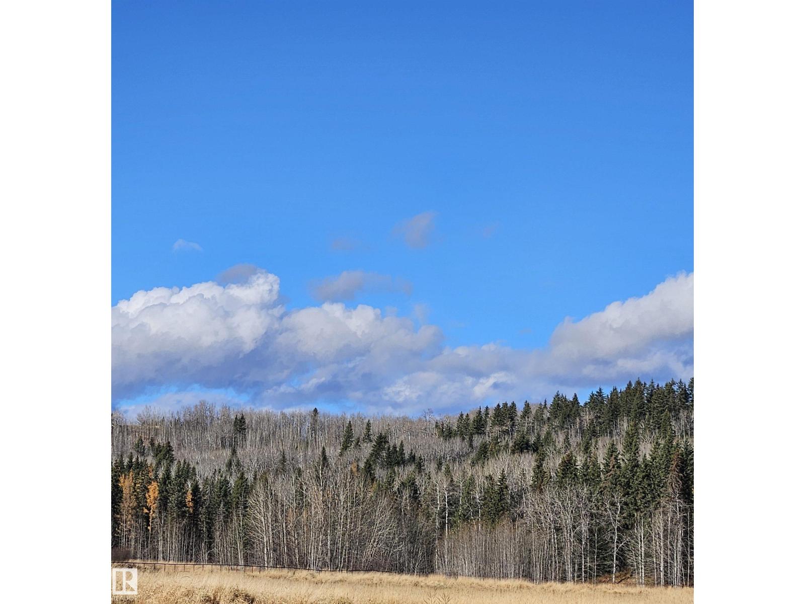 6501 Twp Road 502 House A; B, Rural Brazeau County, Alberta  T7A 2A2 - Photo 59 - E4463318