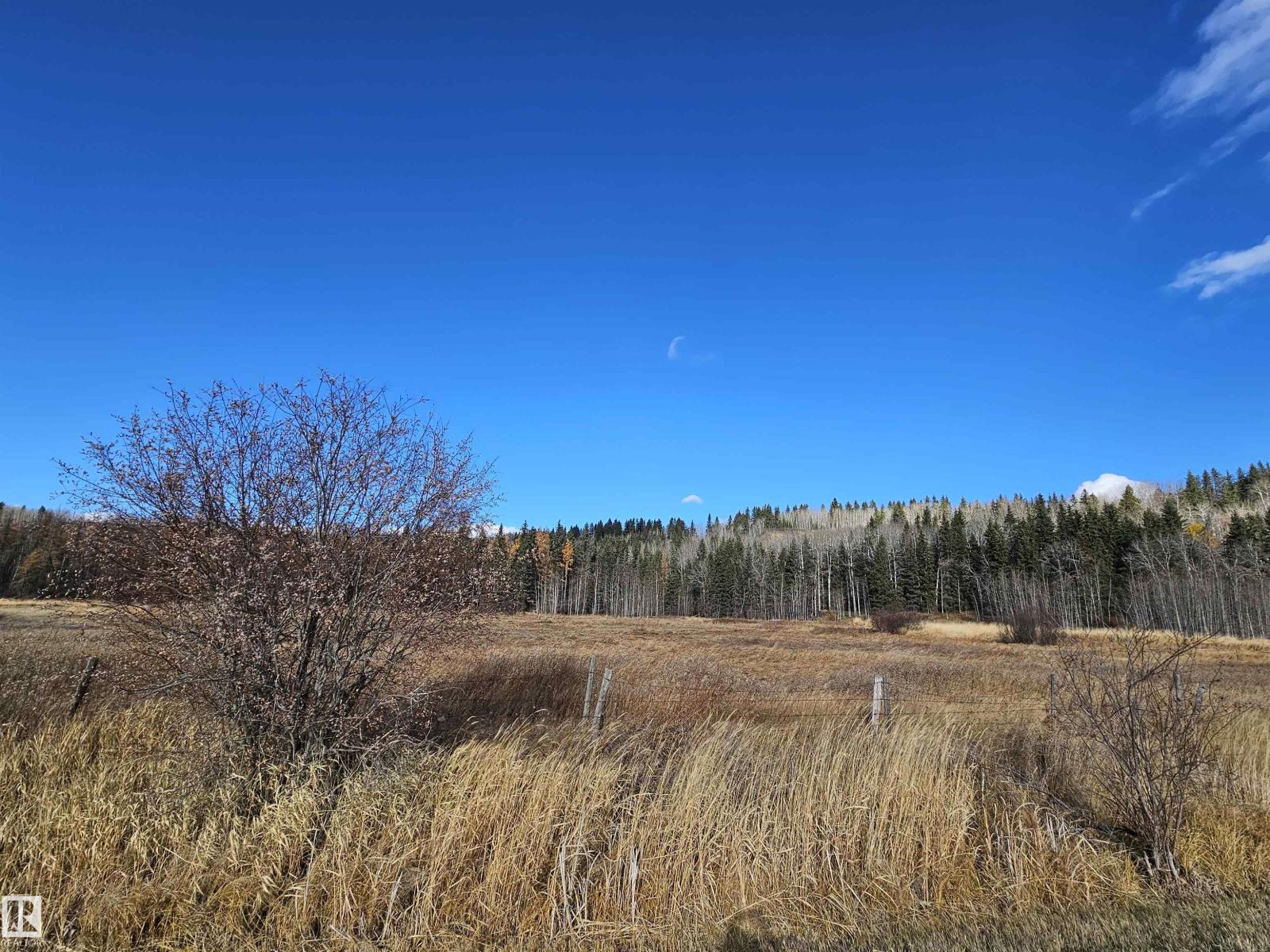 6501 Twp Road 502 House A; B, Rural Brazeau County, Alberta  T7A 2A2 - Photo 61 - E4463318