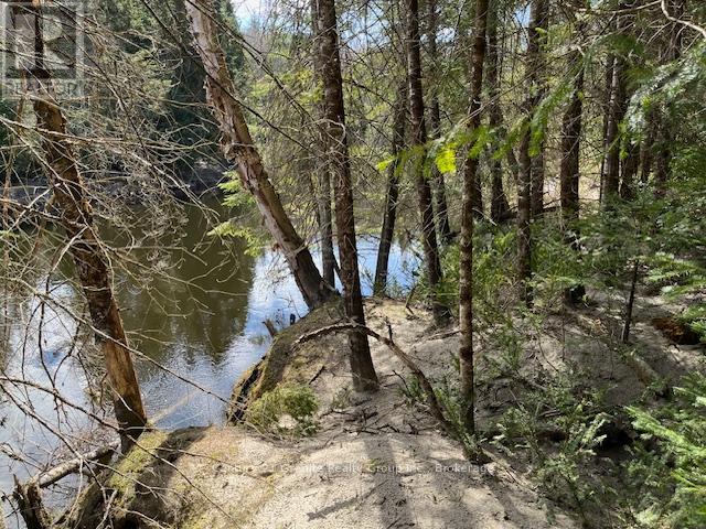 0 County Road 503, Minden Hills, Ontario  K0M 2A1 - Photo 2 - X12480191