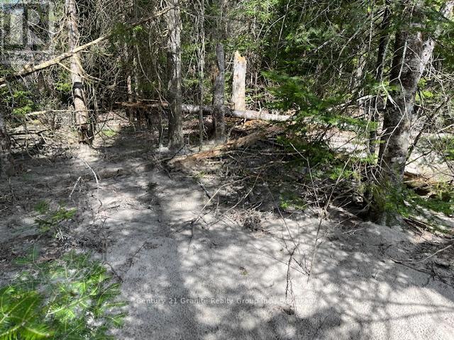 0 County Road 503, Minden Hills, Ontario  K0M 2A1 - Photo 5 - X12480191