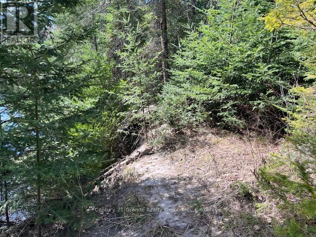0 County Road 503, Minden Hills, Ontario  K0M 2A1 - Photo 7 - X12480191
