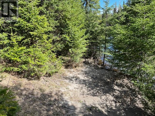 0 County Road 503, Minden Hills, Ontario  K0M 2A1 - Photo 8 - X12480191