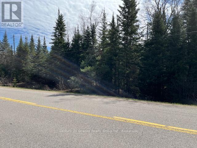 0 County Road 503, Minden Hills, Ontario  K0M 2A1 - Photo 9 - X12480191
