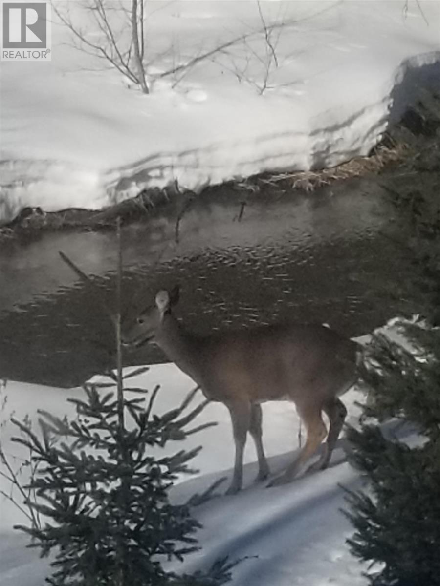 1285 Old Garden River Rd, Sault Ste. Marie, Ontario  P6A 6J8 - Photo 48 - SM252075