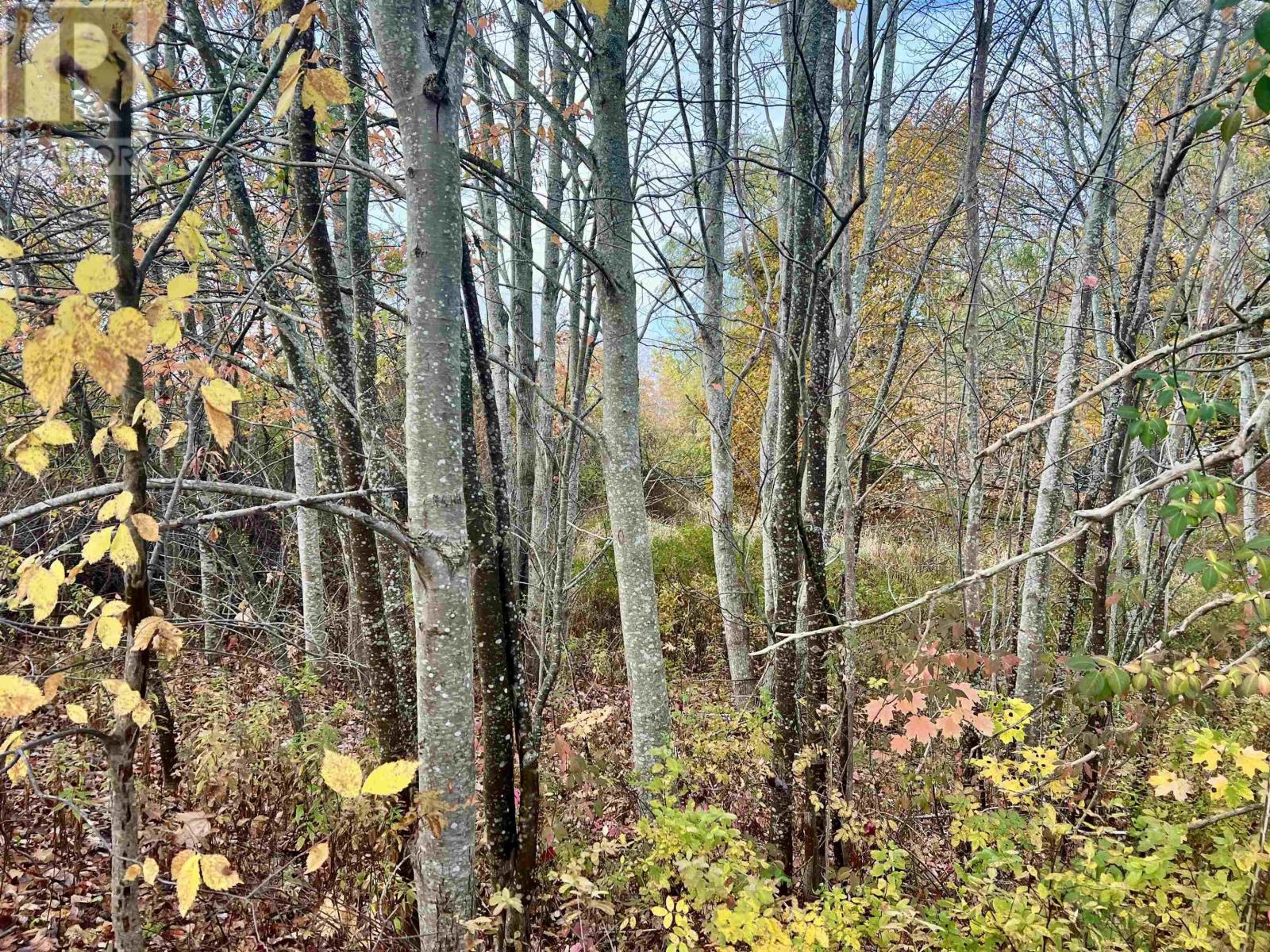 Lot A Maple Street, Waterville, Nova Scotia  B0P 1V0 - Photo 4 - 202526531