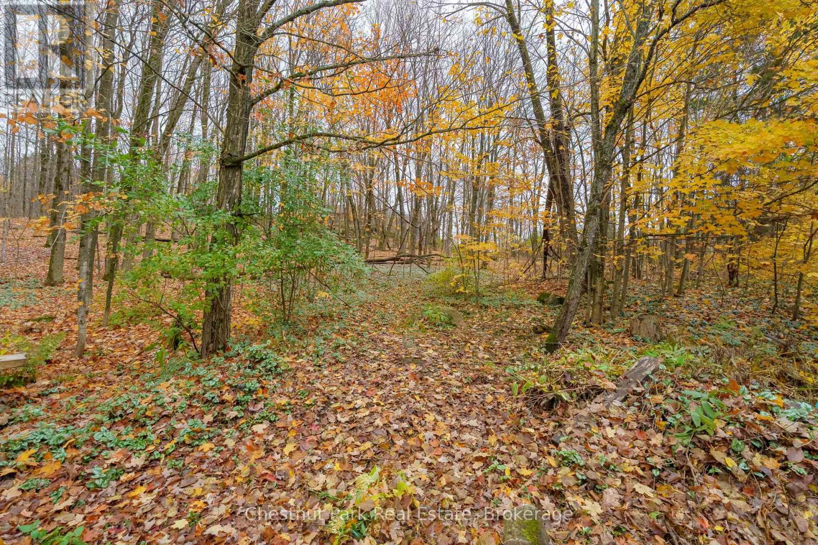 73 Hanes Road, Huntsville, Ontario  P1H 1M3 - Photo 36 - X12480292