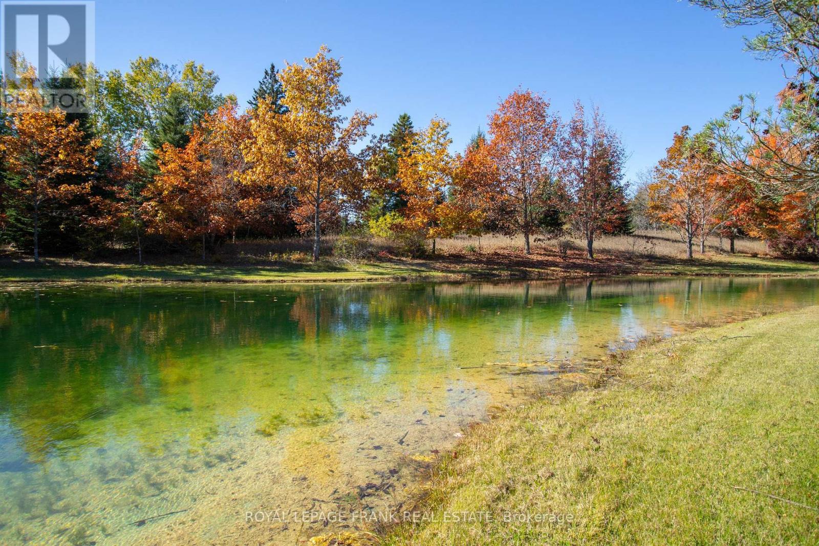 556 Hwy 7a Highway, Kawartha Lakes, Ontario  L0A 1A0 - Photo 12 - X12480395