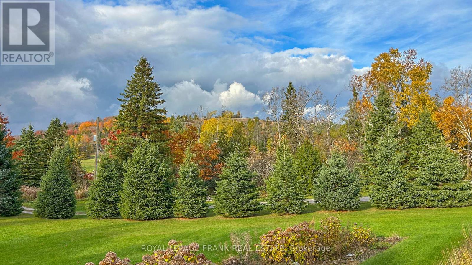 556 Hwy 7a Highway, Kawartha Lakes, Ontario  L0A 1A0 - Photo 48 - X12480395
