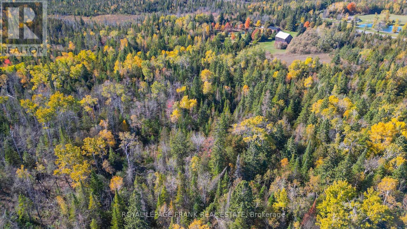 556 Hwy 7a Highway, Kawartha Lakes, Ontario  L0A 1A0 - Photo 50 - X12480395