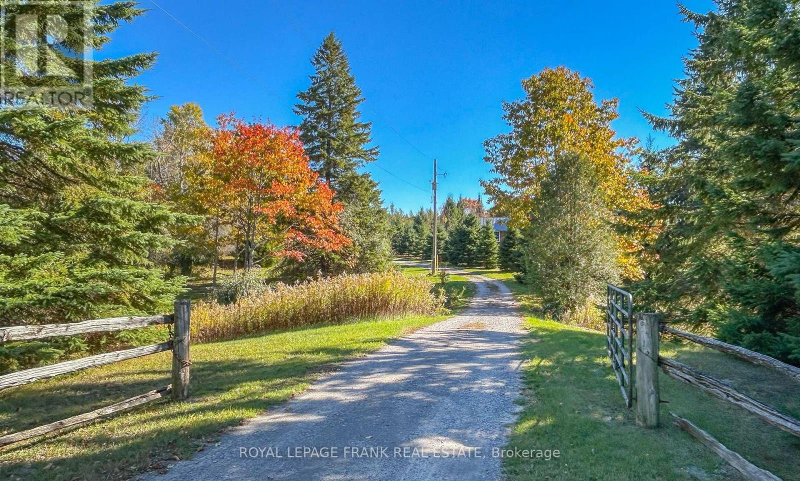 556 Hwy 7a Highway, Kawartha Lakes, Ontario  L0A 1A0 - Photo 6 - X12480395