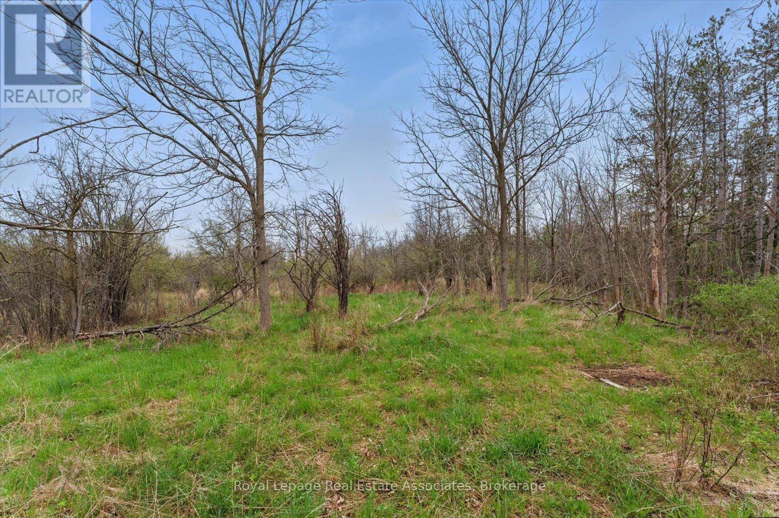 10475a Winston Churchill Boulevard, Brampton, Ontario  L7A 0A4 - Photo 9 - W12208166