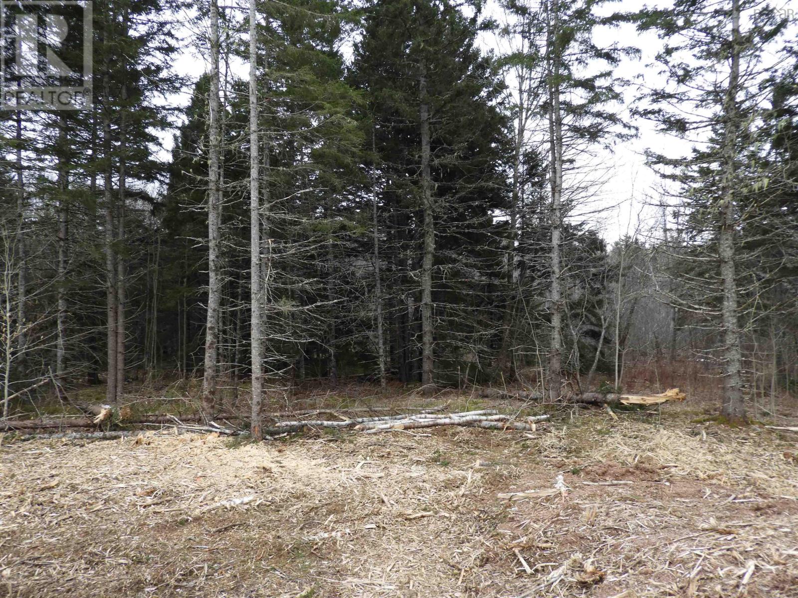 Lot New Russell Road, New Russell, Nova Scotia  B0J 2M0 - Photo 3 - 202506871