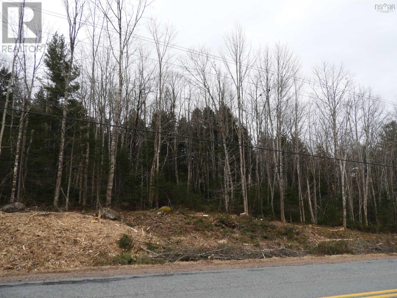 Lot New Russell Road, New Russell, Nova Scotia  B0J 2M0 - Photo 5 - 202506871