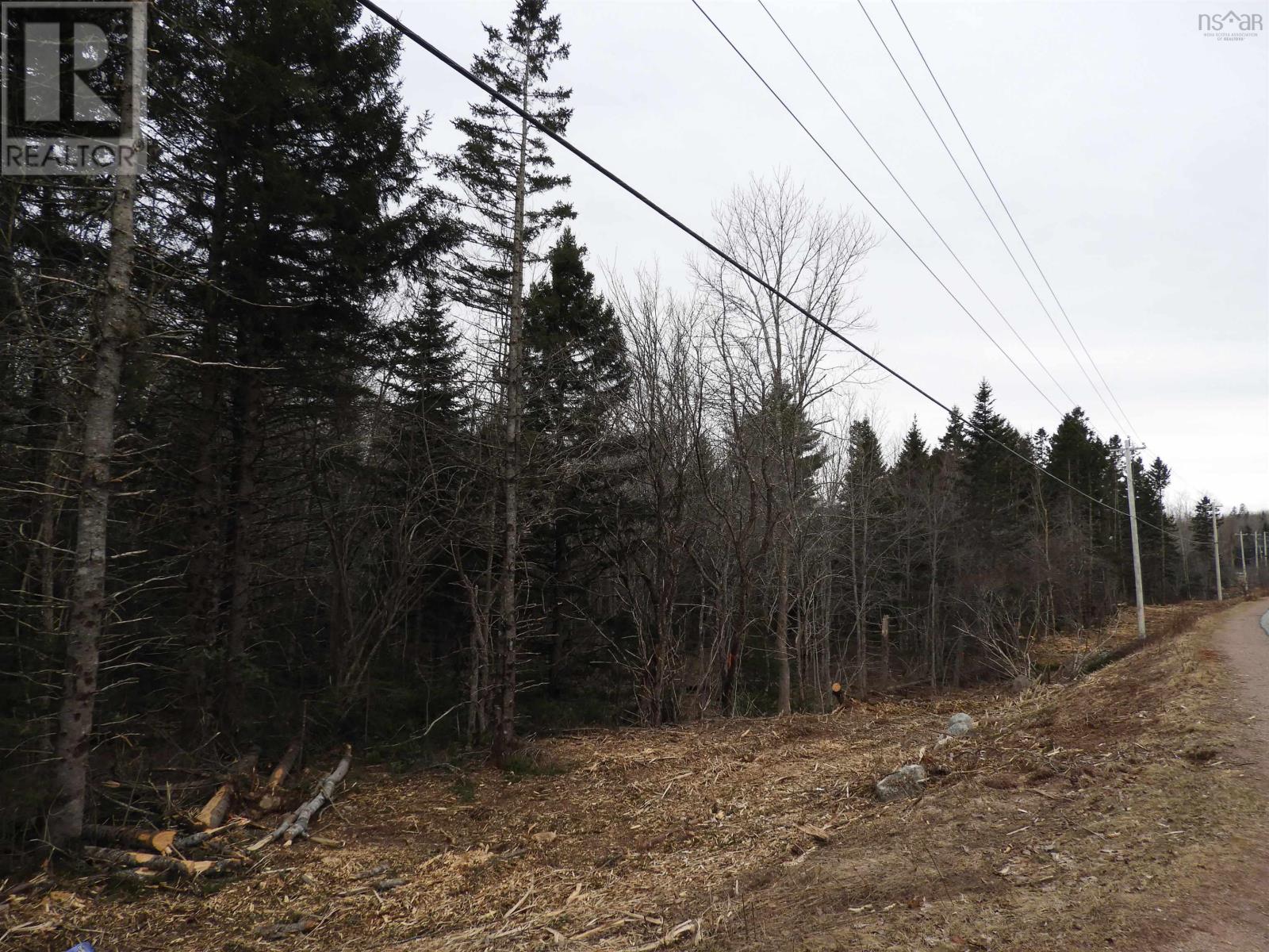 Lot New Russell Road, New Russell, Nova Scotia  B0J 2M0 - Photo 6 - 202506871