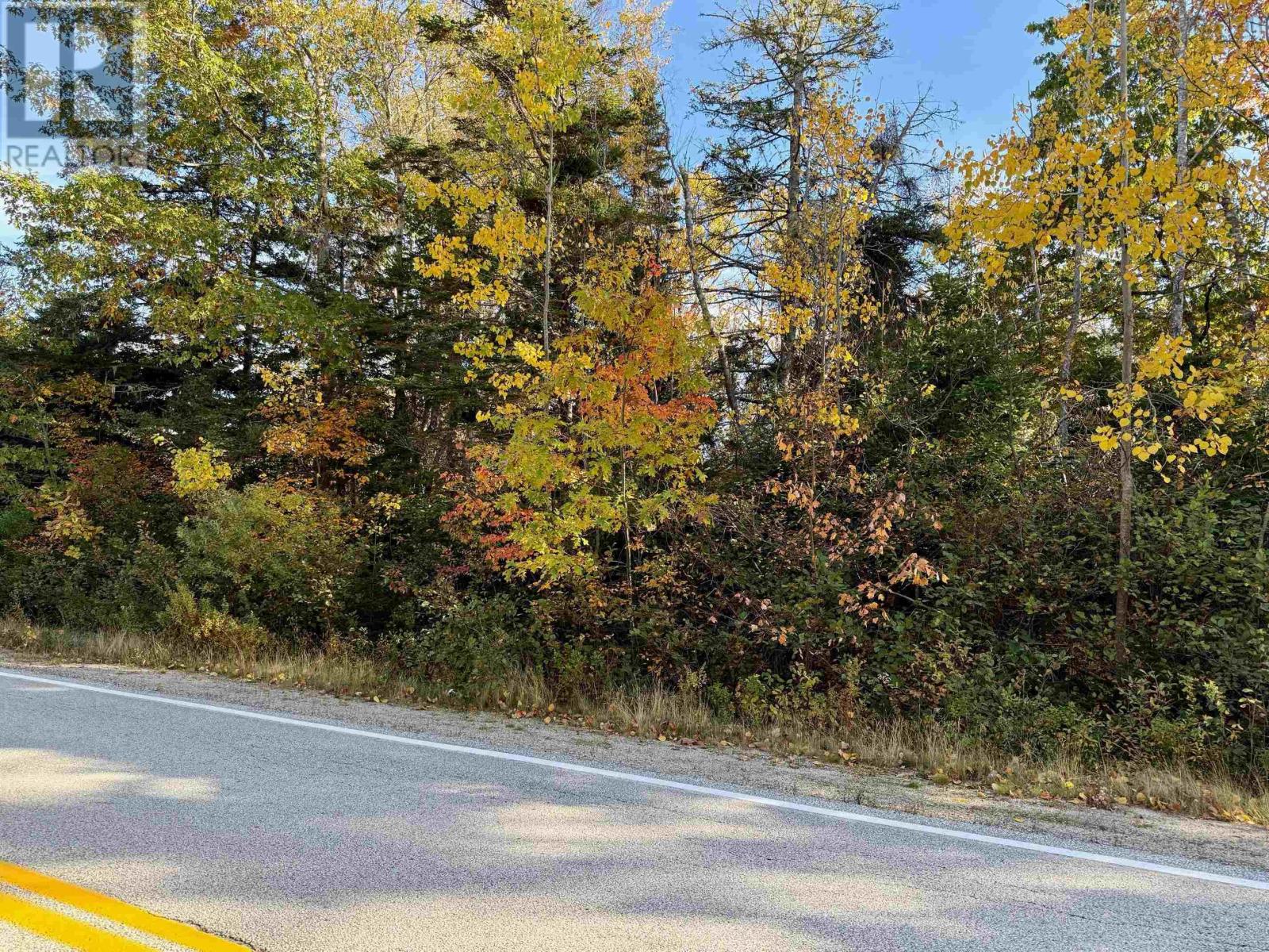 Lots Pid60369261 Highway 331, Voglers Cove, Nova Scotia  B0J 2H0 - Photo 5 - 202526344