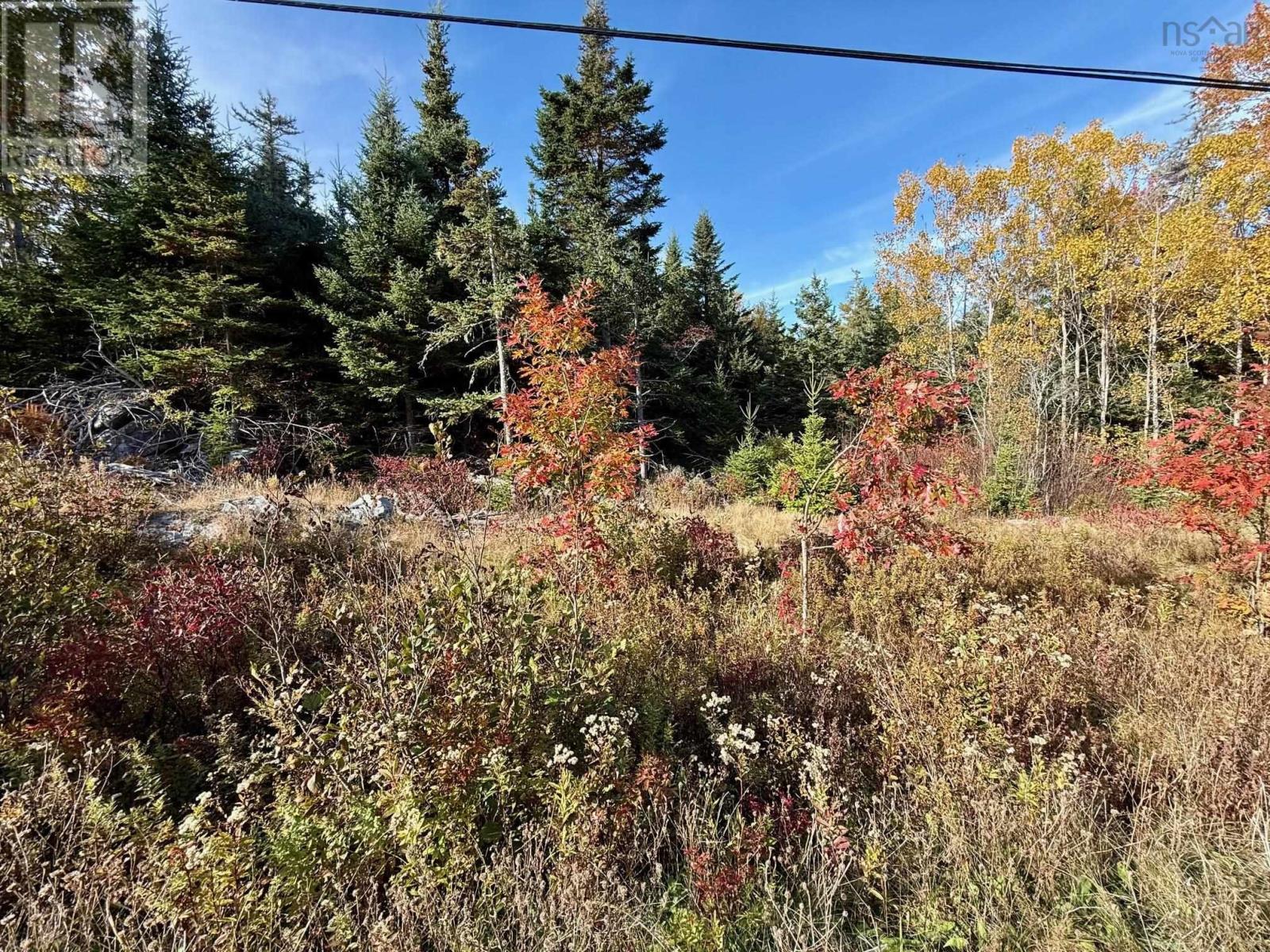 Lots Pid60369261 Highway 331, Voglers Cove, Nova Scotia  B0J 2H0 - Photo 9 - 202526344