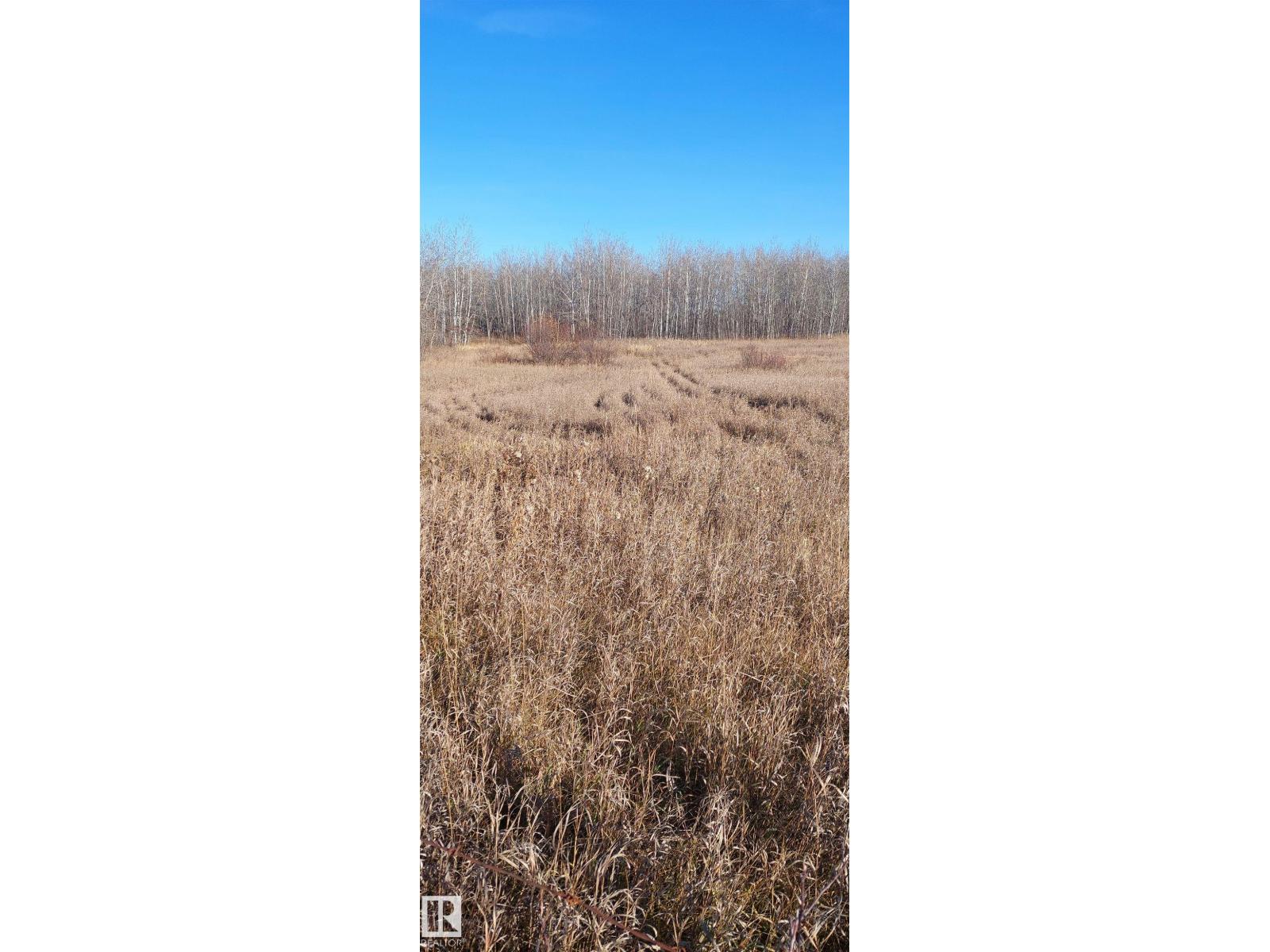 40 23429 584 Twp Rd, Rural Westlock County, Alberta  T0G 1L0 - Photo 5 - E4463340